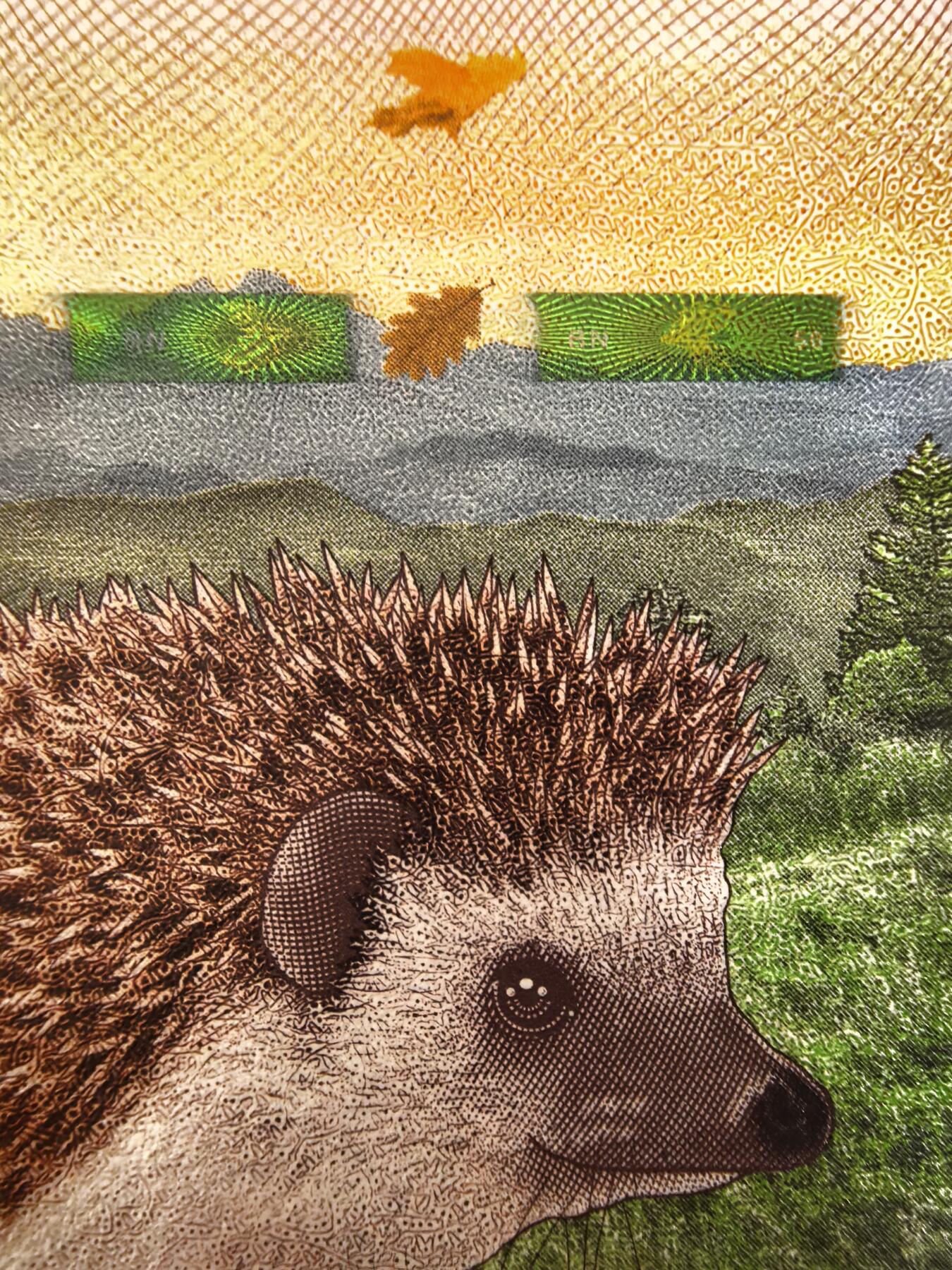 捷德50刺猬测试钞