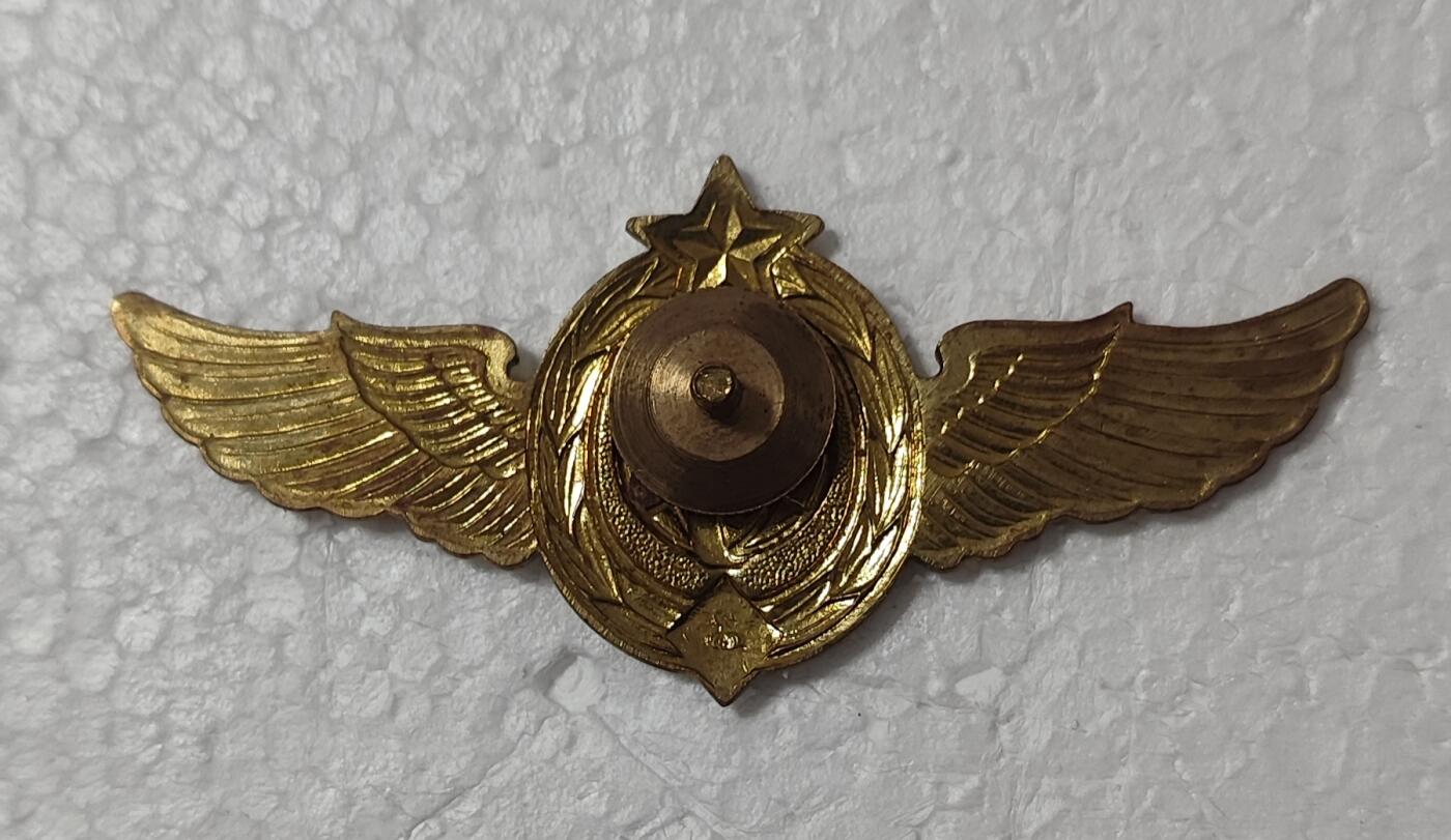 老俞小拍2 苏联宇航员等级证章，无等级