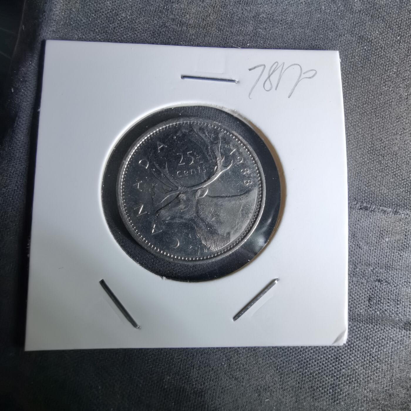 沼泽如烟--第978场