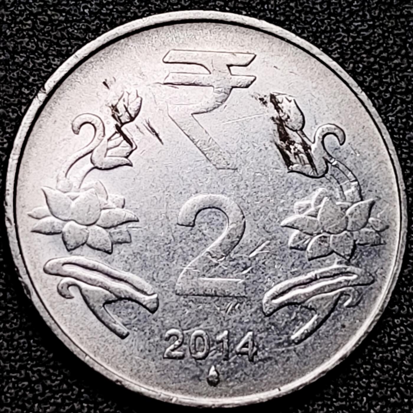 泉币菌-第178场- 精品福利场 。