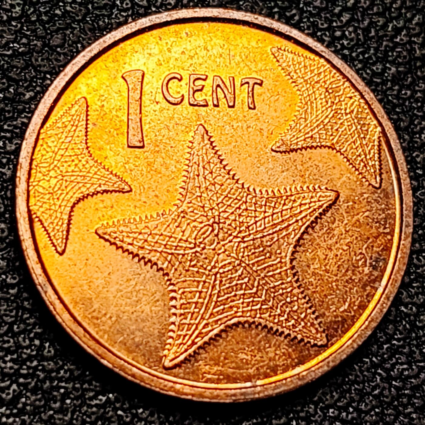 泉币菌-第178场- 精品福利场 。