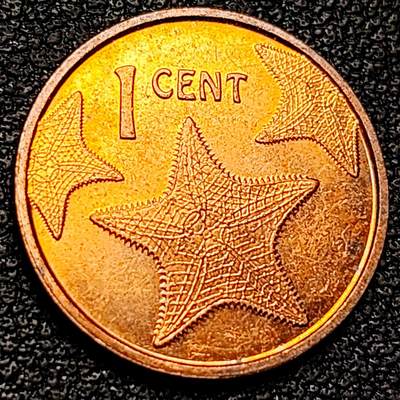 泉币菌-第178场- 精品福利场 - 。