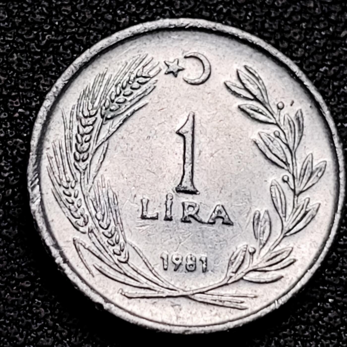 泉币菌-第178场- 精品福利场 。