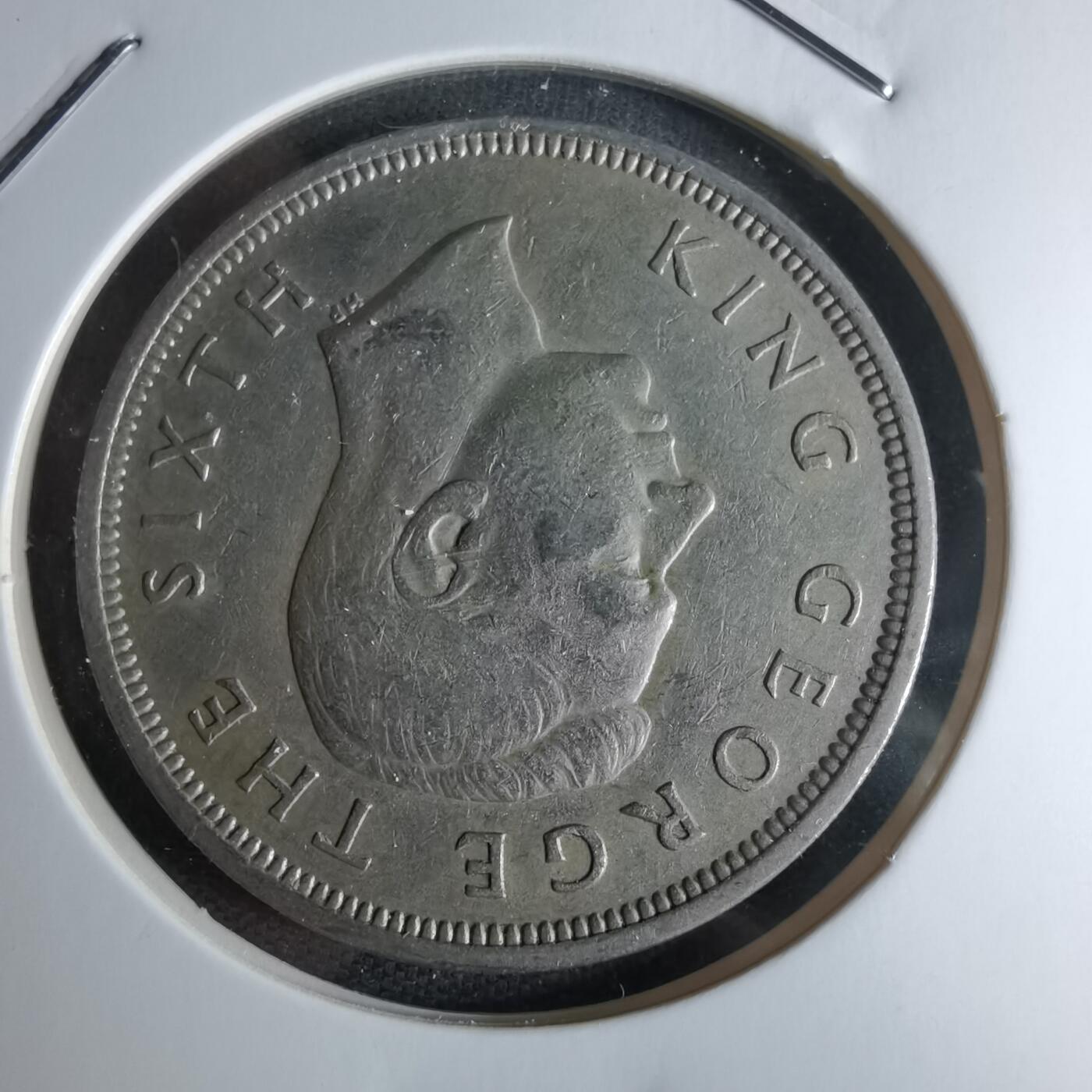 沼泽如烟--第979场