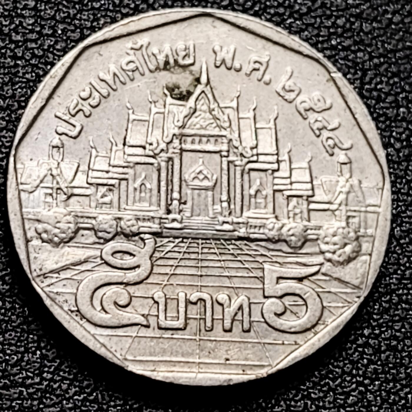 泉币菌-第178场- 精品福利场 。