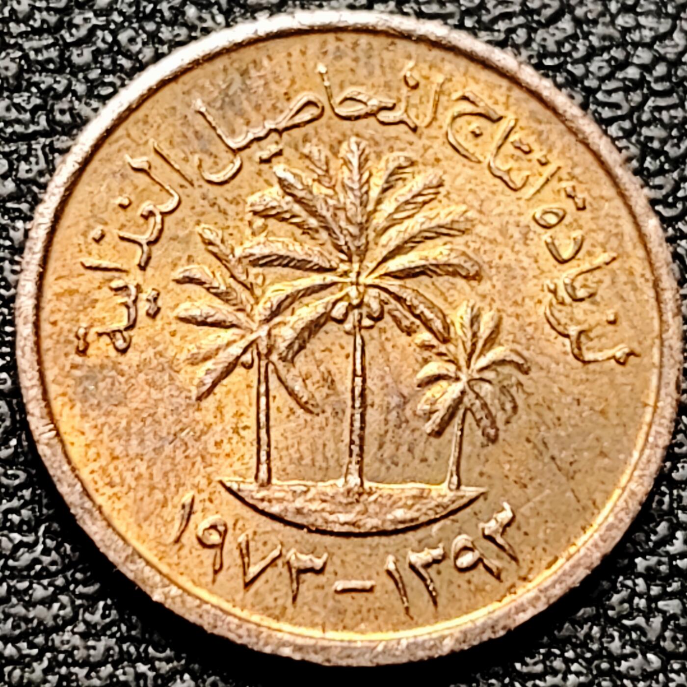 泉币菌-第178场- 精品福利场 。