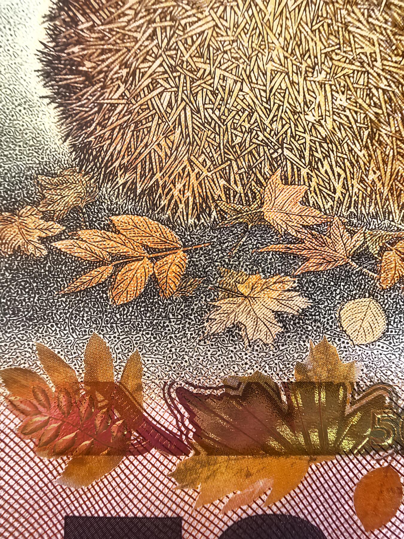 捷德50刺猬测试钞