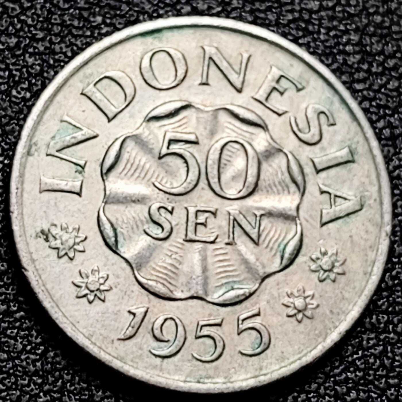 泉币菌-第178场- 精品福利场 。