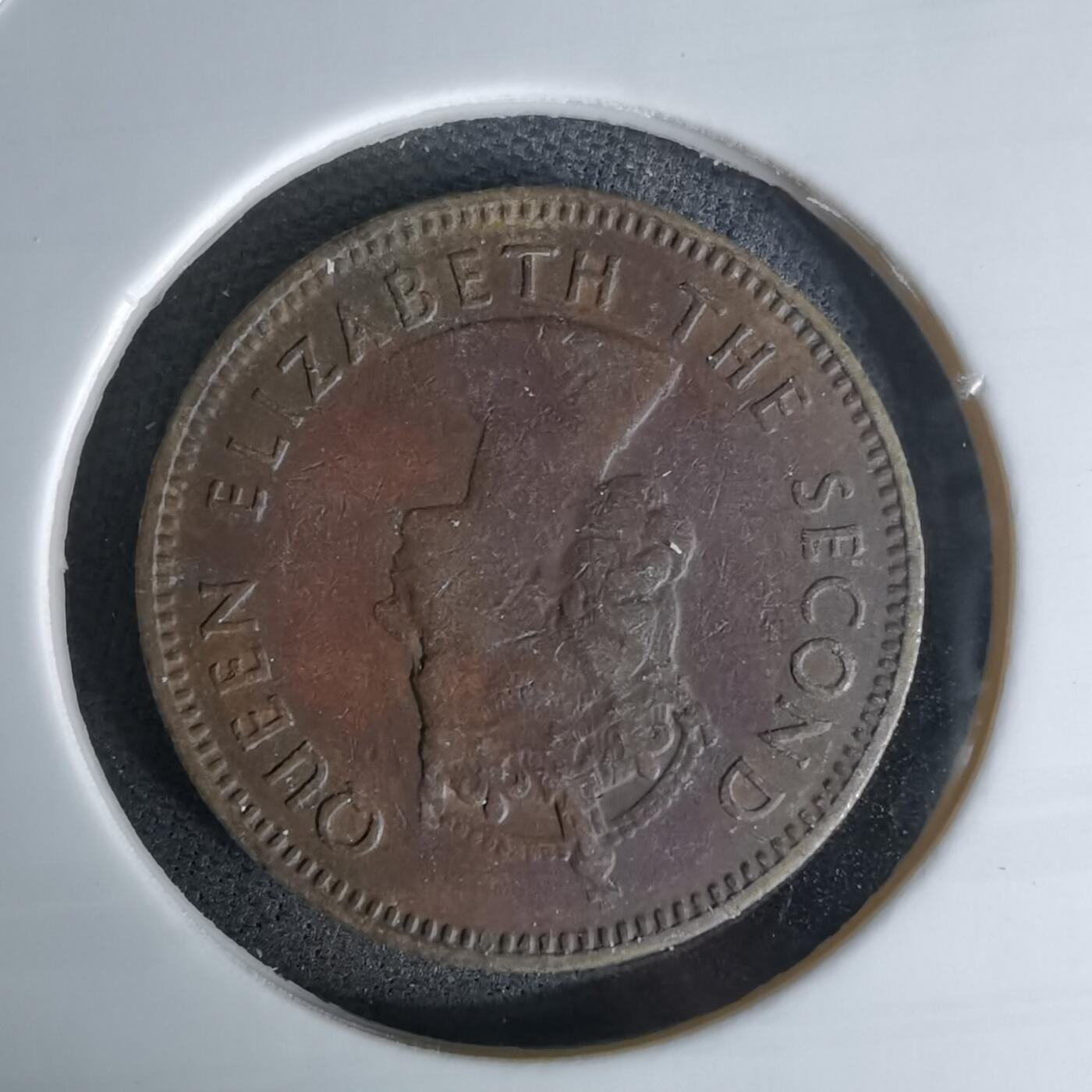 沼泽如烟--第978场 香港1964年一毫