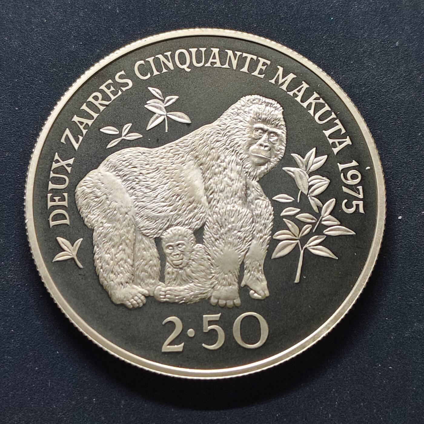 【全场包邮】纯粹捡漏拍499场-持续更新中 扎伊尔