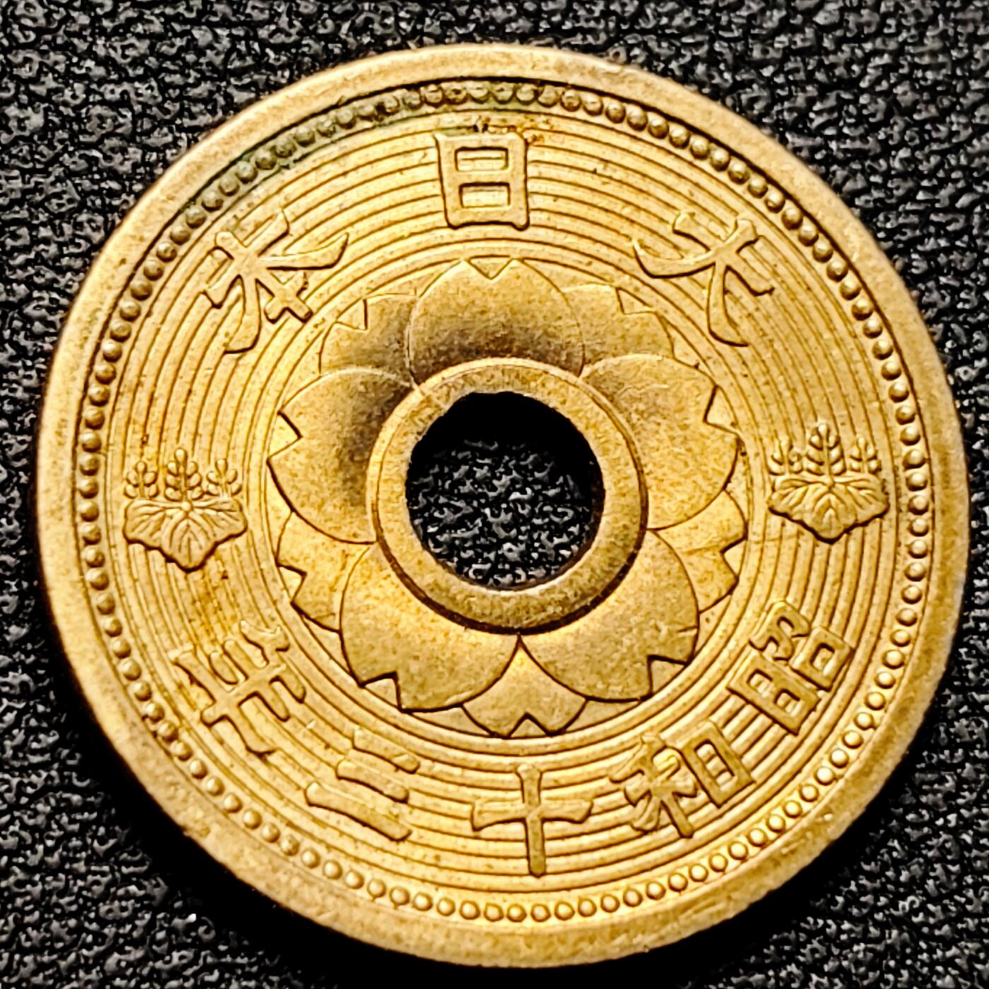 泉币菌-第178场- 精品福利场 。