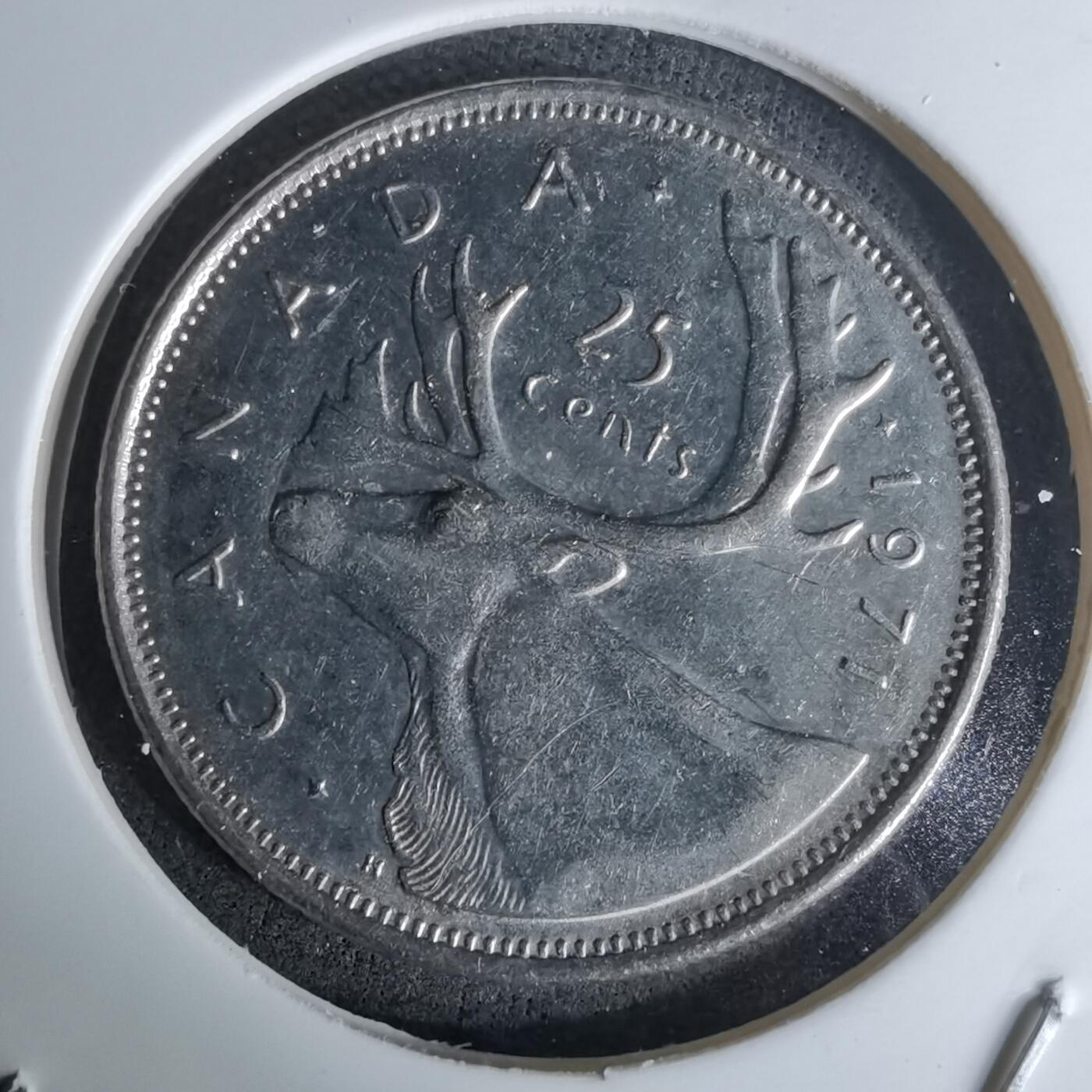 沼泽如烟--第978场