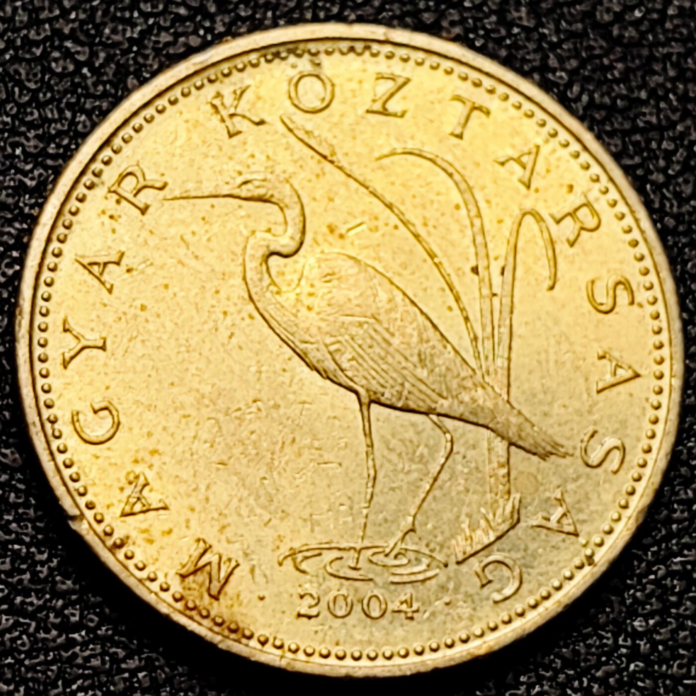 泉币菌-第178场- 精品福利场 。