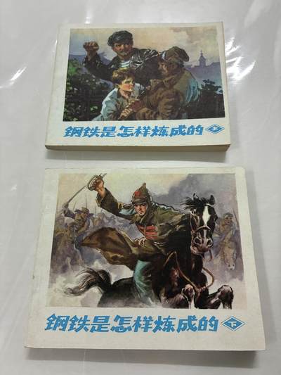 2026年2月22日连环画拍卖会 - 钢铁是怎样炼成的上下69开95品