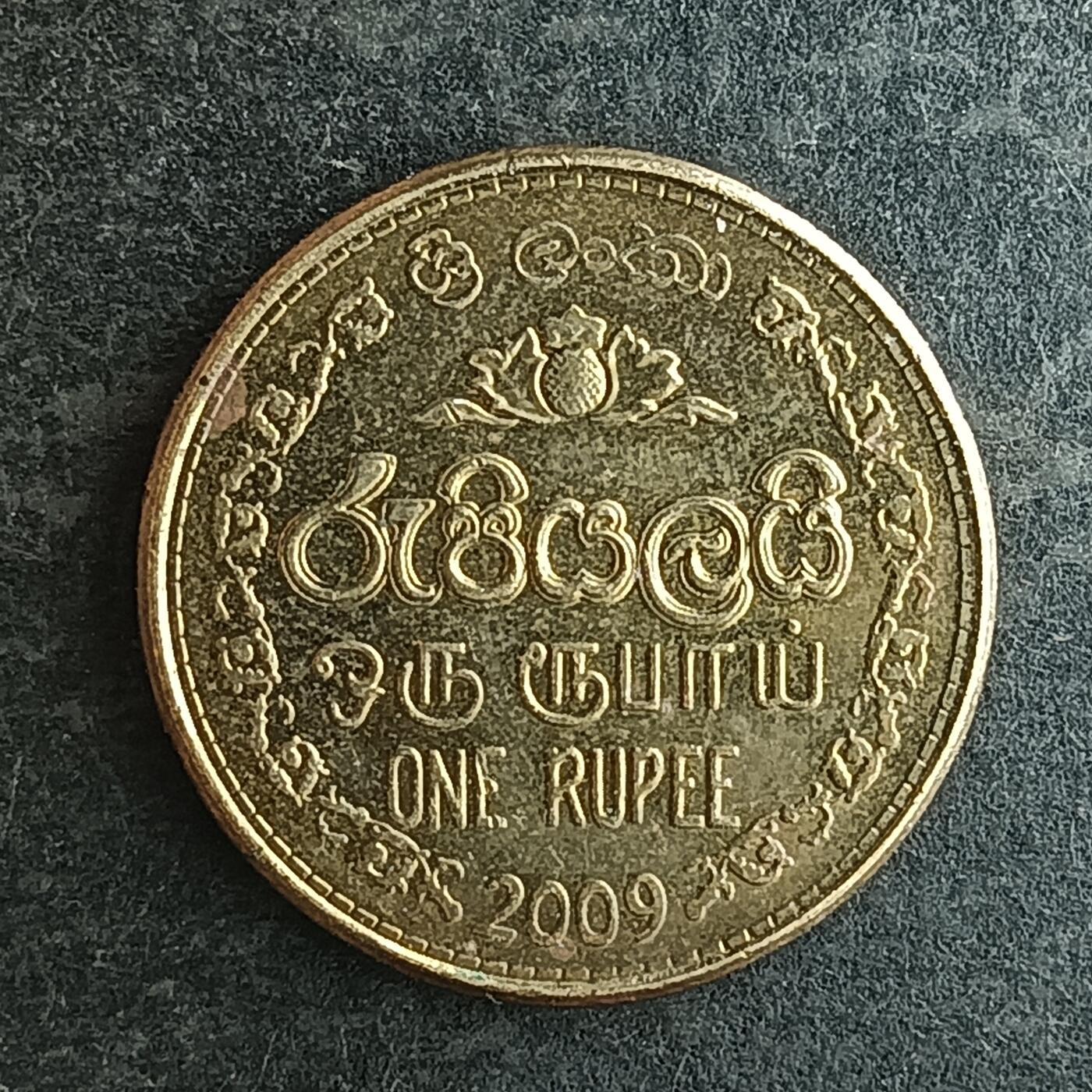 逸泉钱币2026第十四场世界各国散币纪念币A1214-1613 1608 斯里兰卡1卢比