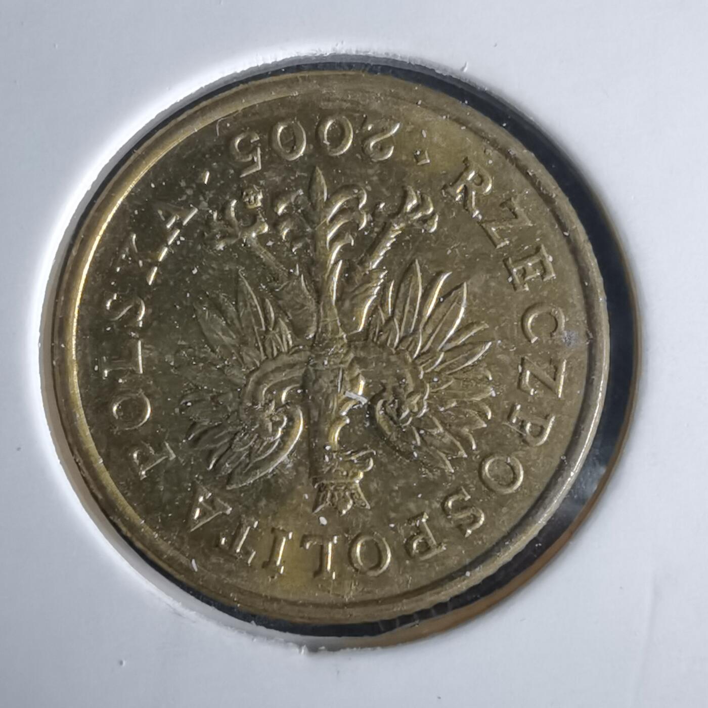 沼泽如烟--第980场 波兰2005年5格罗申