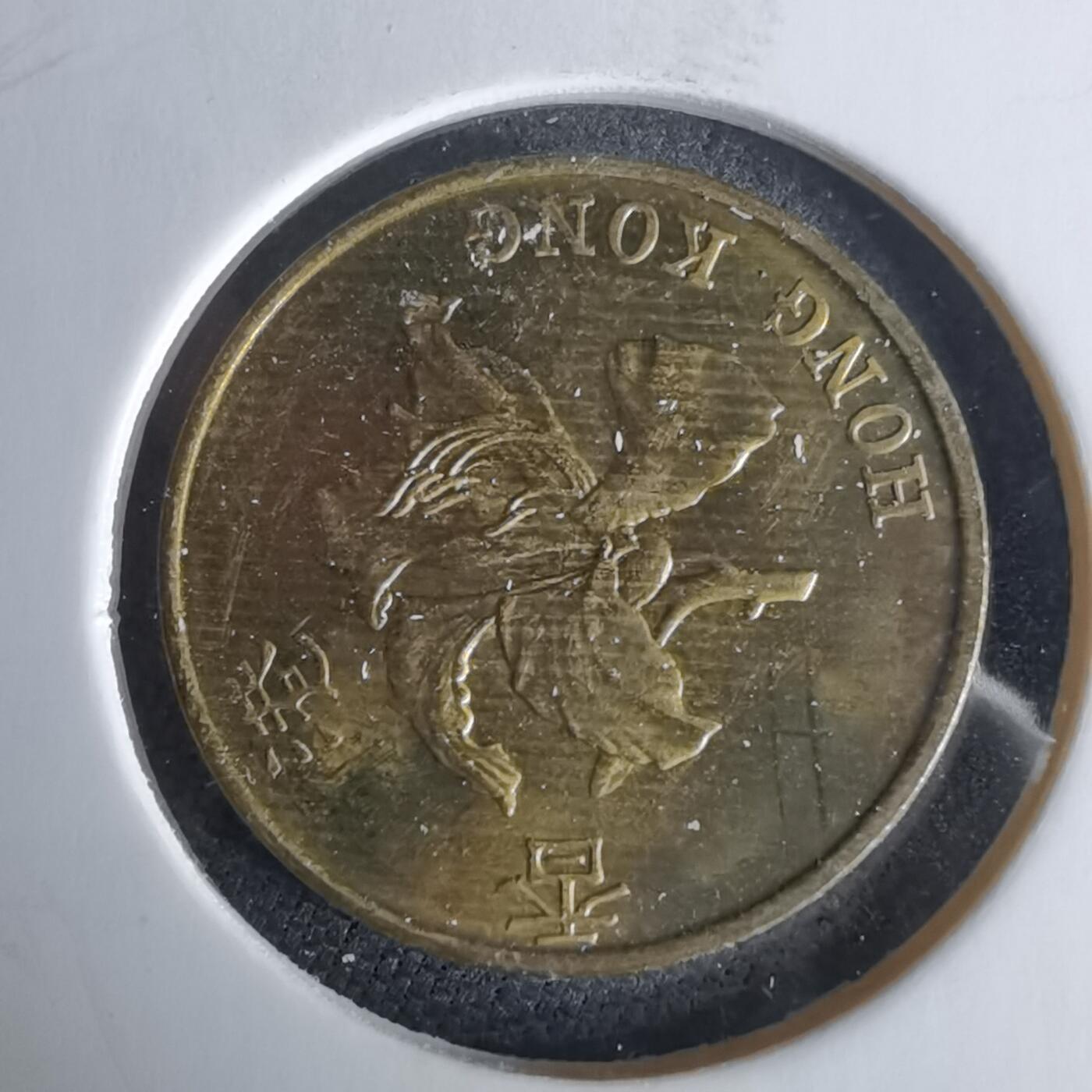 沼泽如烟--第980场