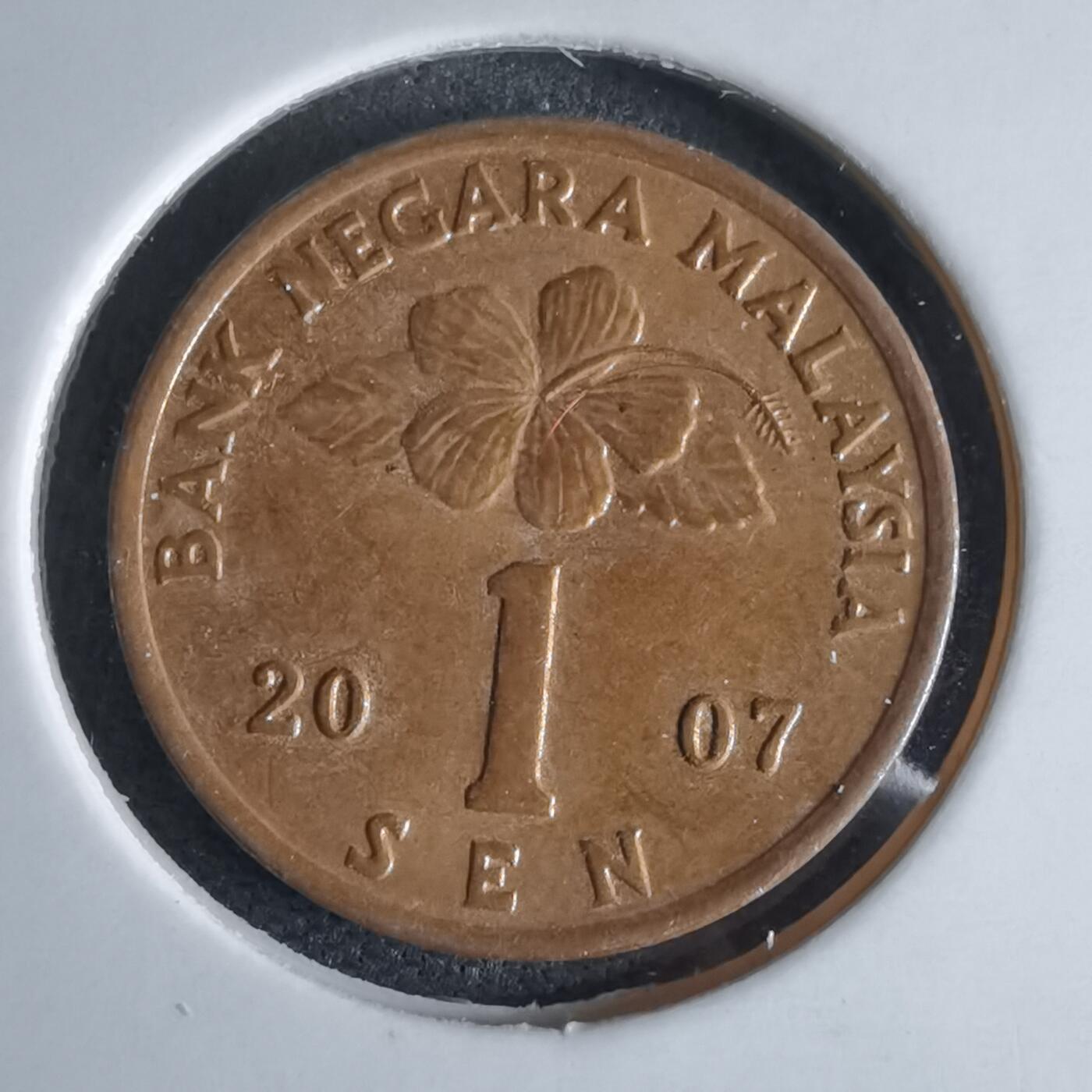 沼泽如烟--第980场