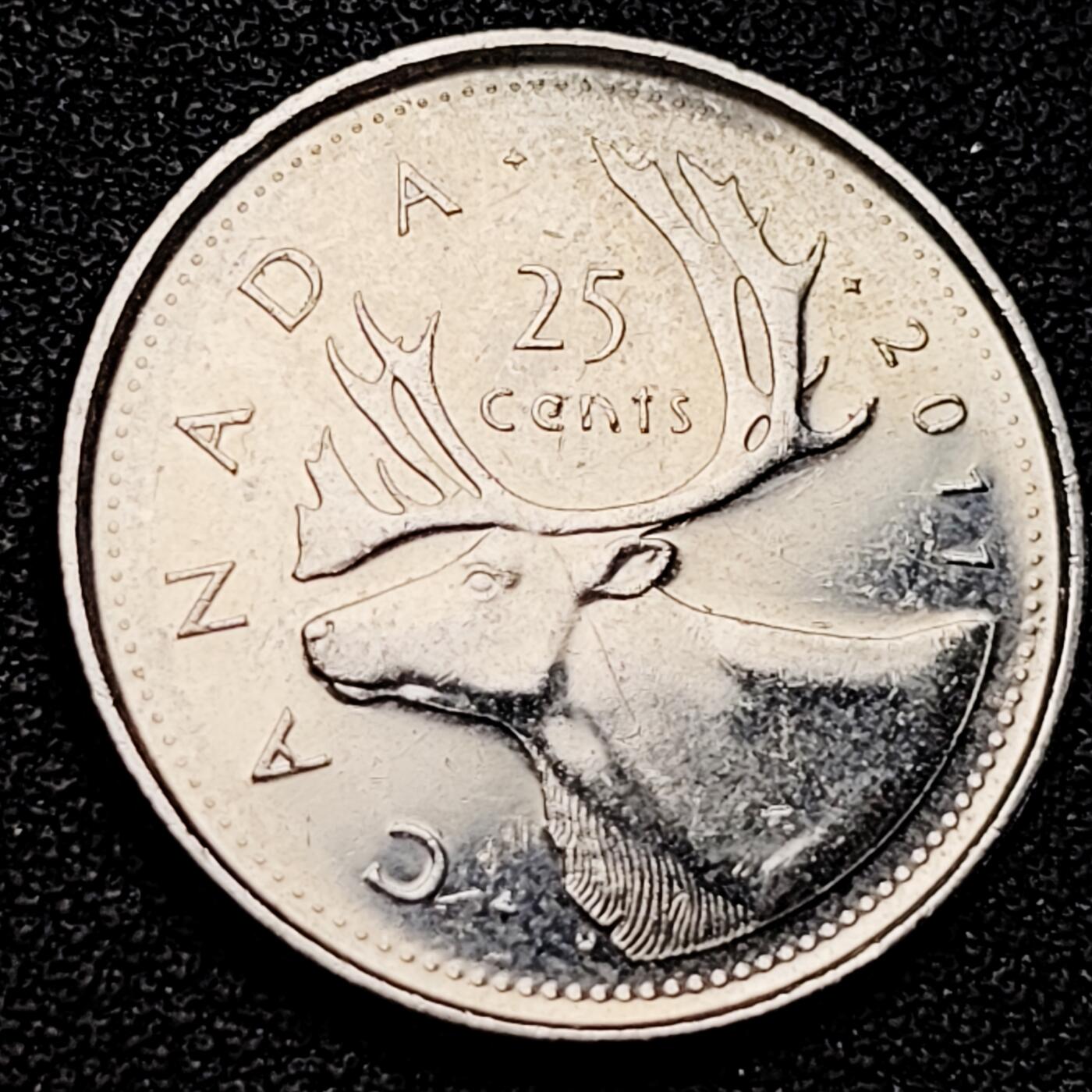 泉币菌-第179场- 精品福利场 。