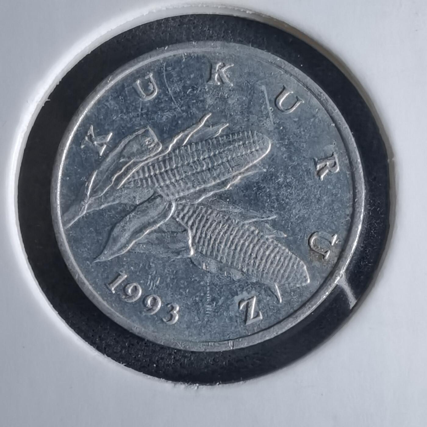 沼泽如烟--第980场