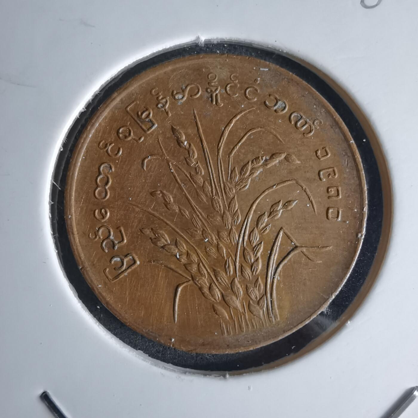 沼泽如烟--第980场