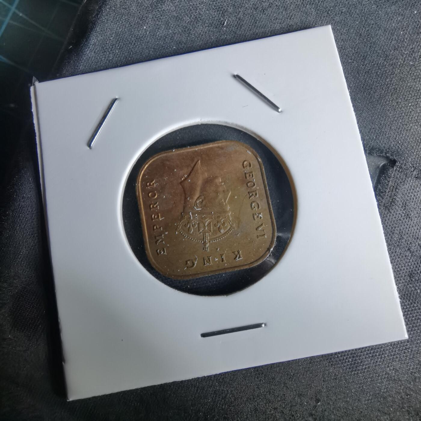 沼泽如烟--第980场