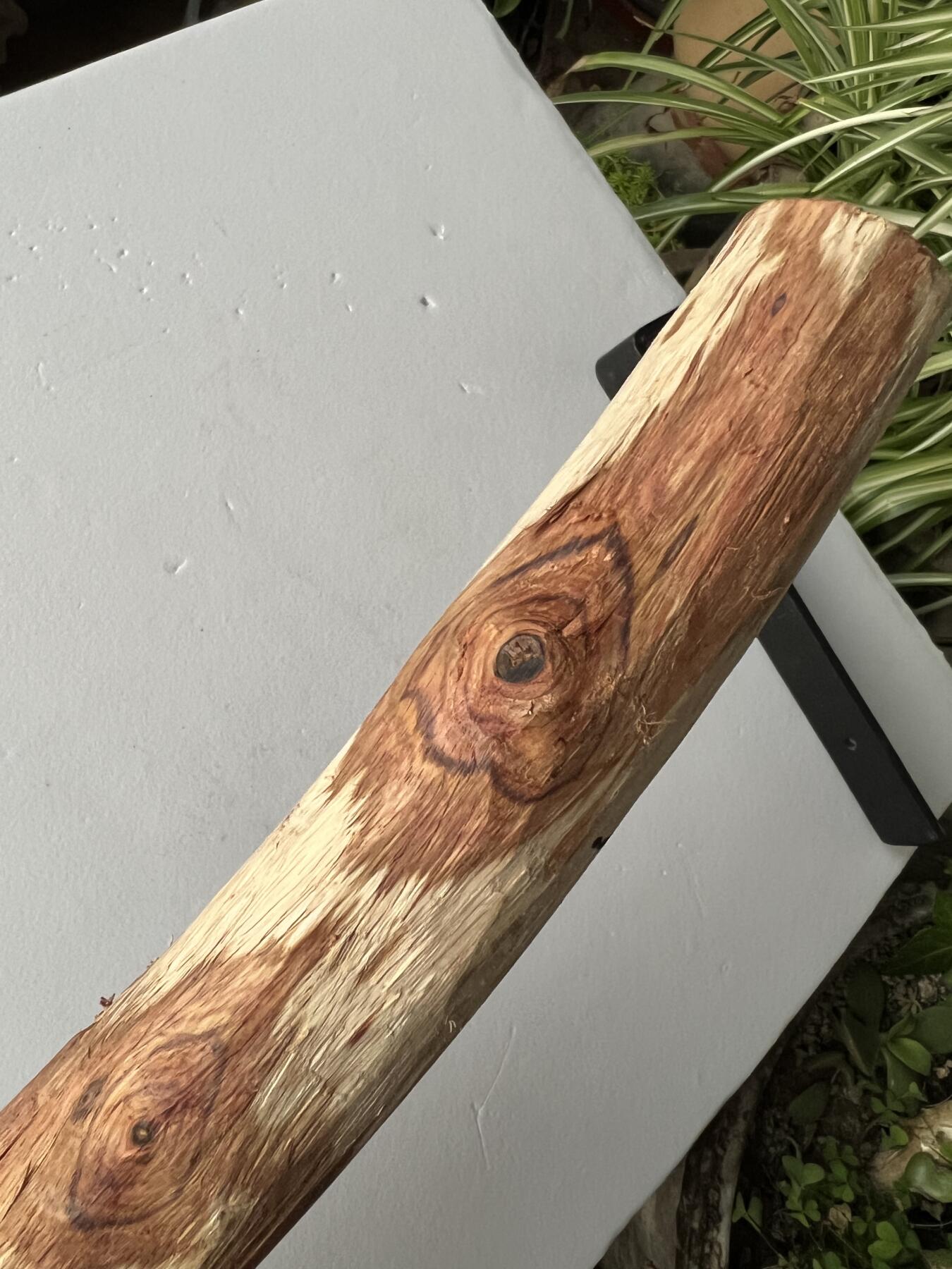 零元拍：NO.35-1 海南黄花梨珠子料，全是水汪汪的大眼睛，325/35MM