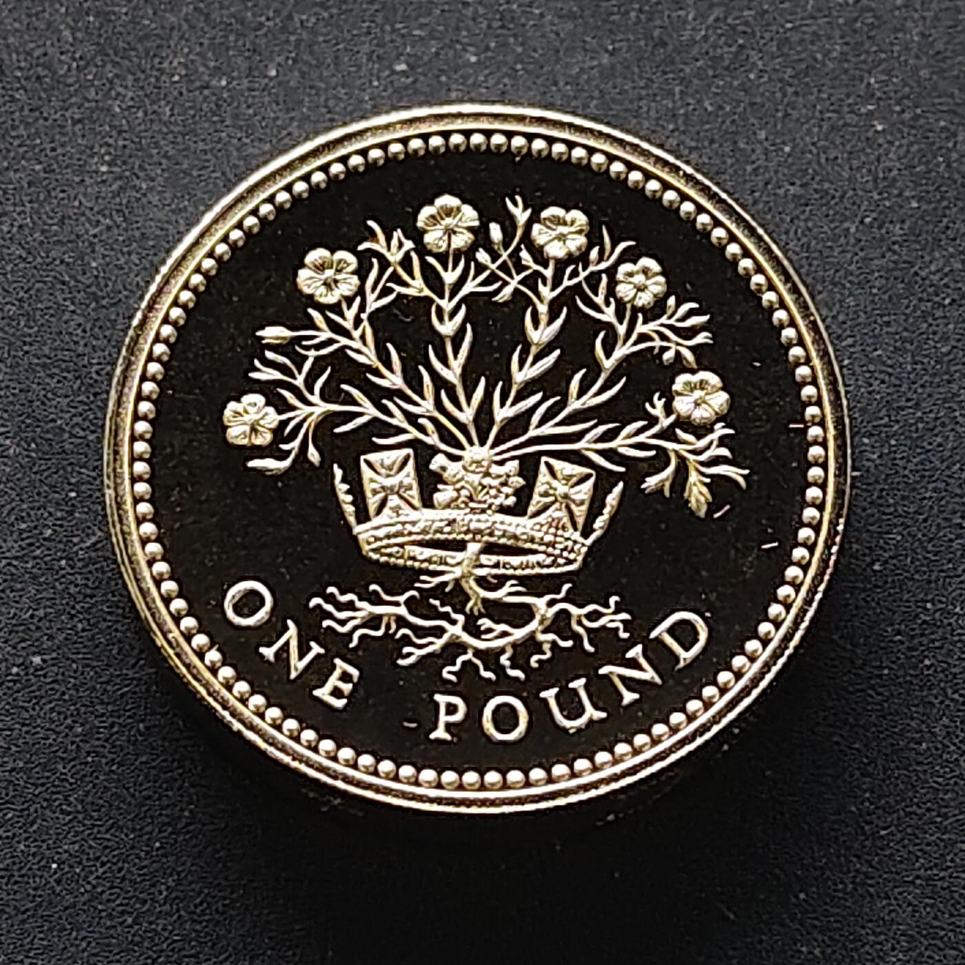 【全场包邮】纯粹捡漏拍499场-持续更新中 英国