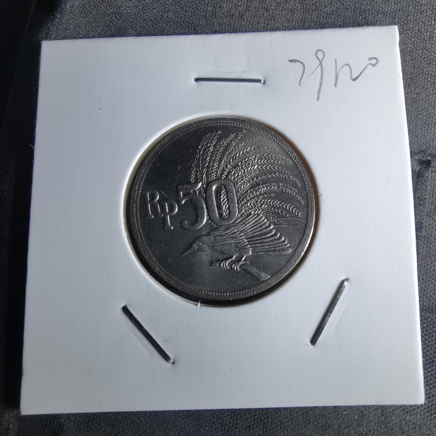 沼泽如烟--第979场