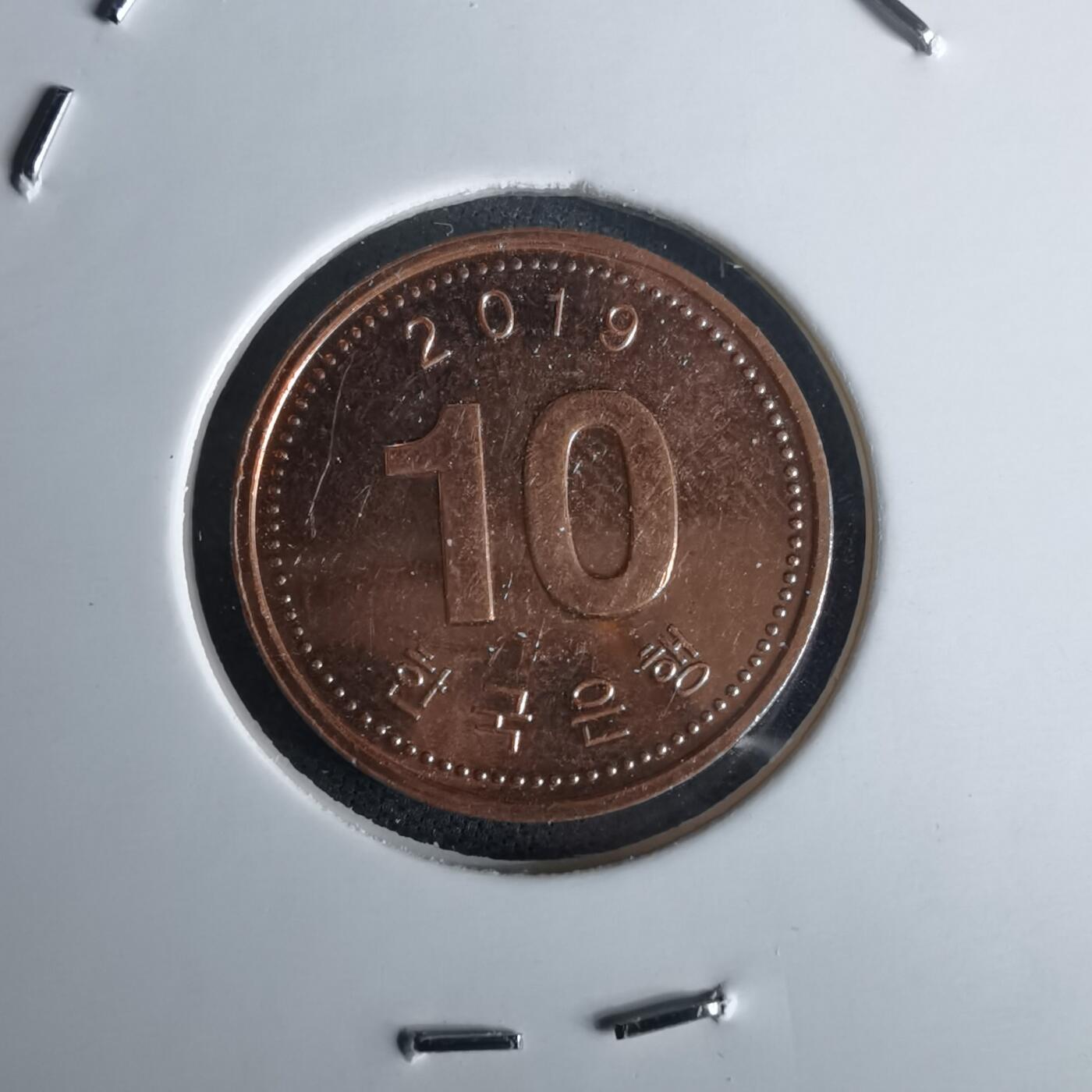 沼泽如烟--第980场