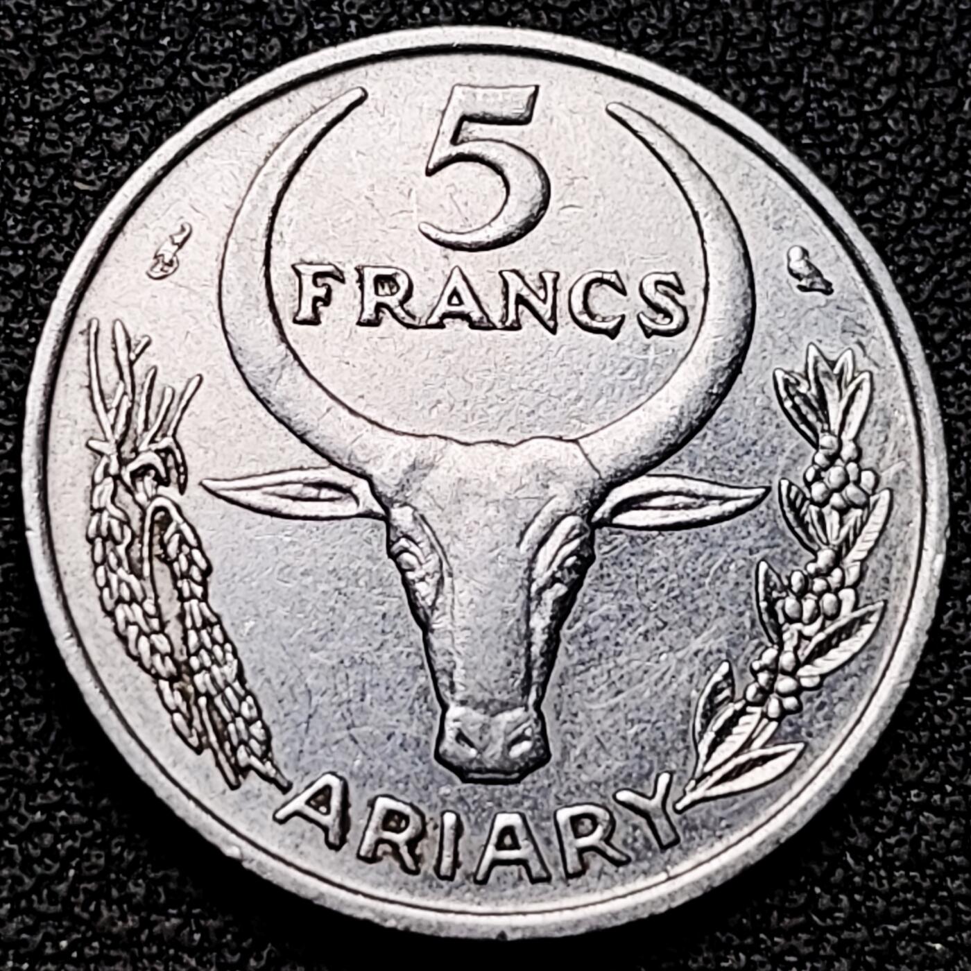 泉币菌-第180场- 精品福利场