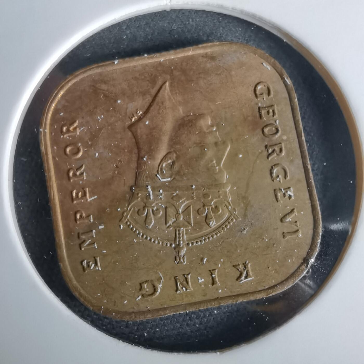 沼泽如烟--第980场