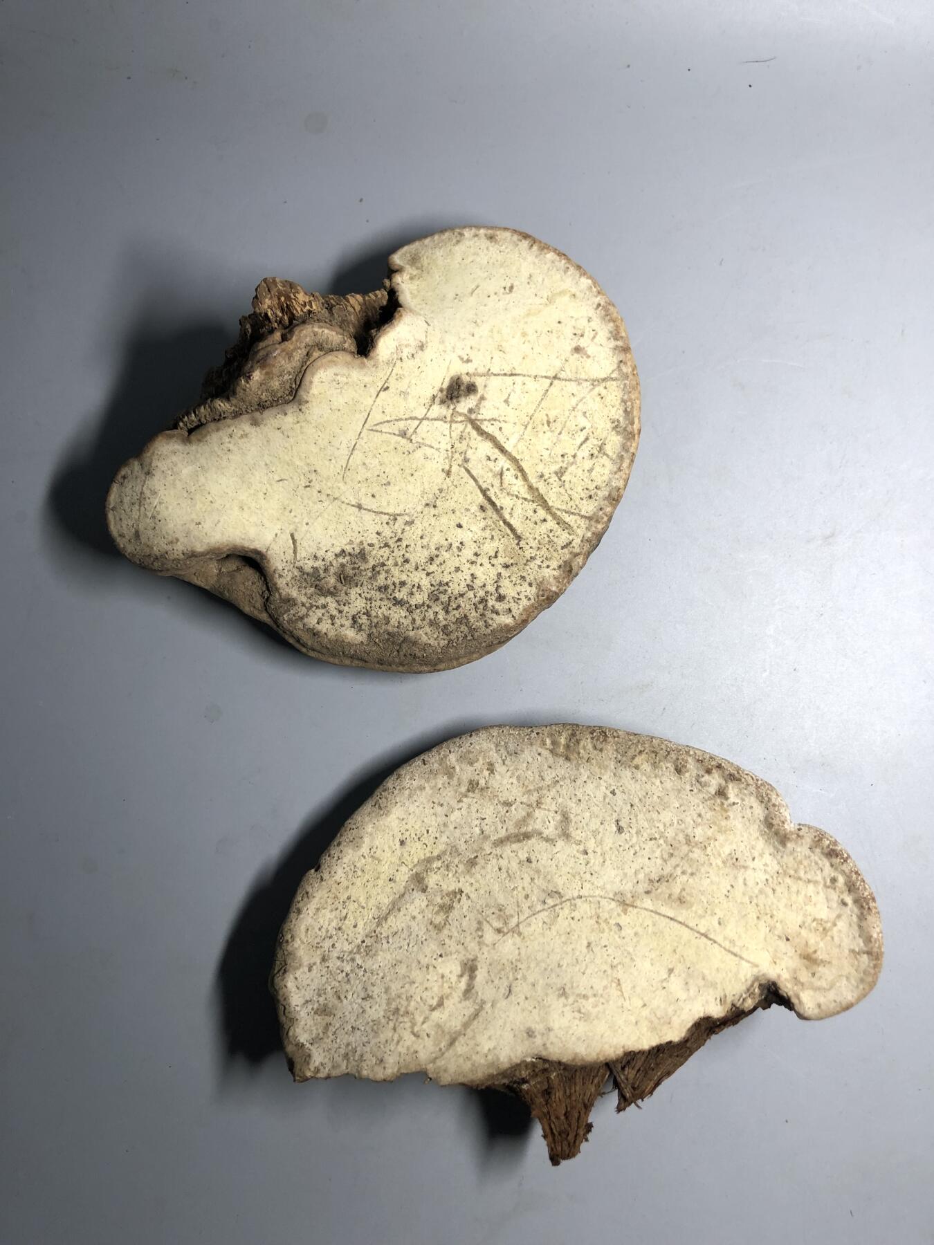 第五期杂项配饰拍卖 捡来的不只是啥