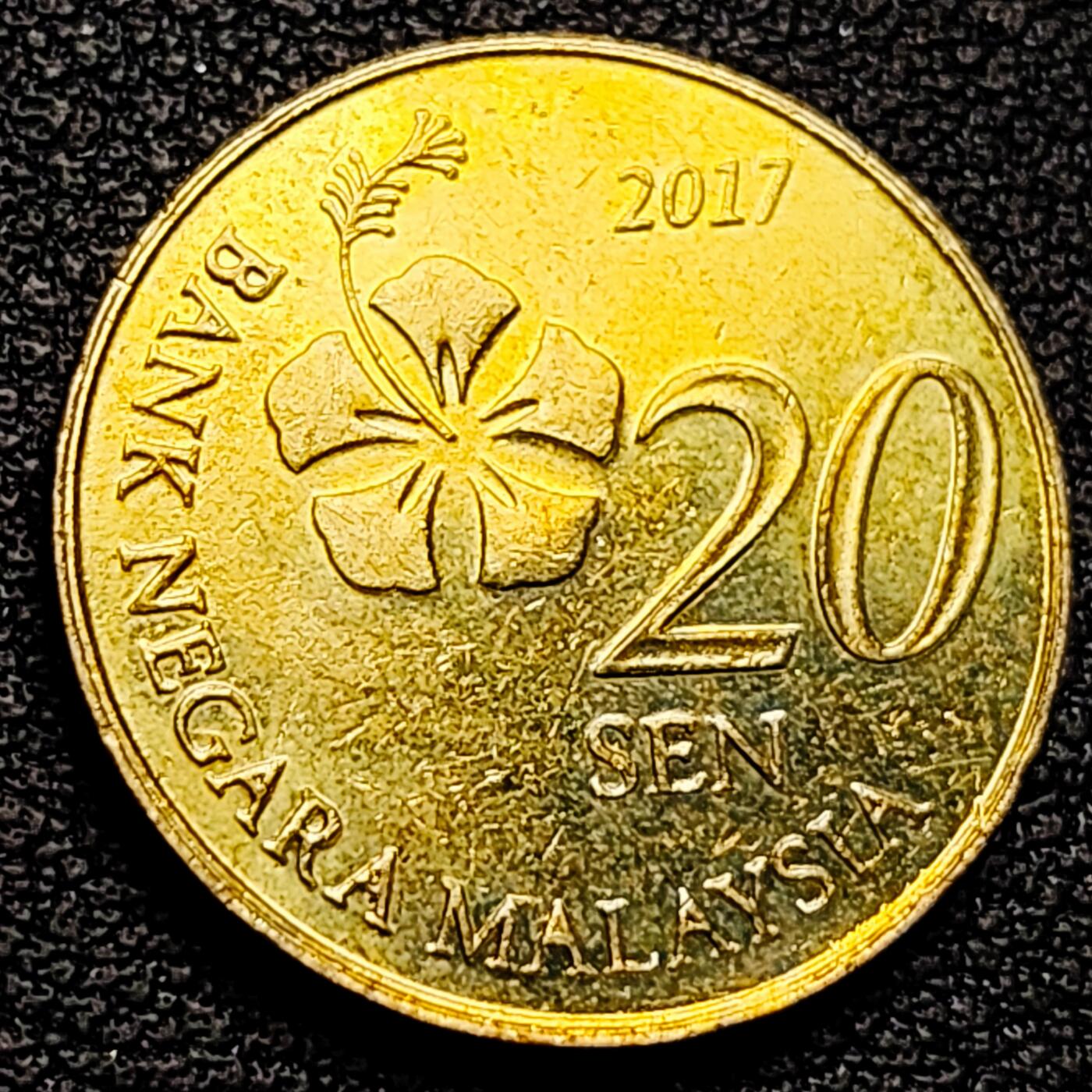 泉币菌-第179场- 精品福利场 。