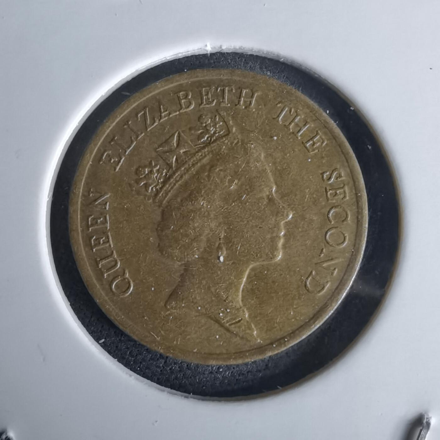 沼泽如烟--第980场