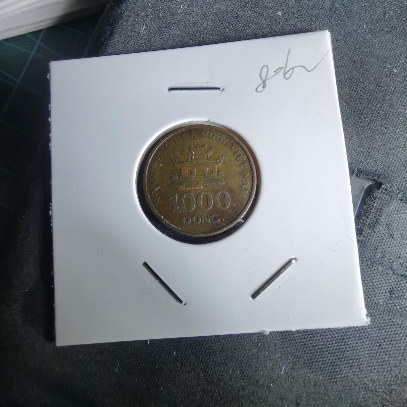 沼泽如烟--第980场