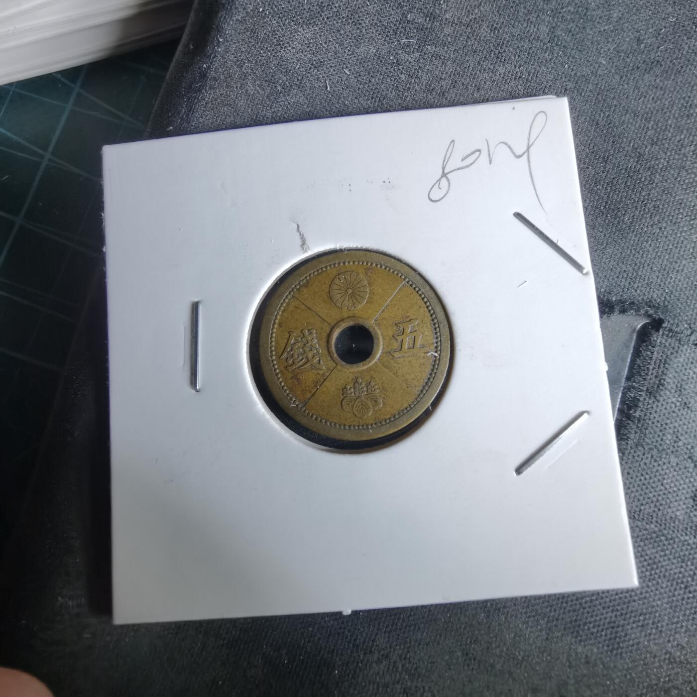 沼泽如烟--第980场