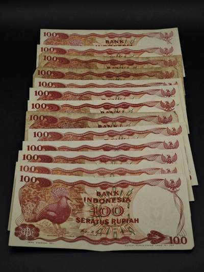 【淘币小摊】实时拍第八百五十六拍   无佣金福利纸币场   满百包邮可预留二周 每周一统一发货   - 印尼100卢比纸币13张【有折】
