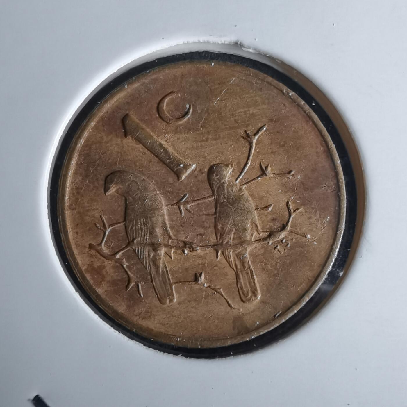 沼泽如烟--第980场