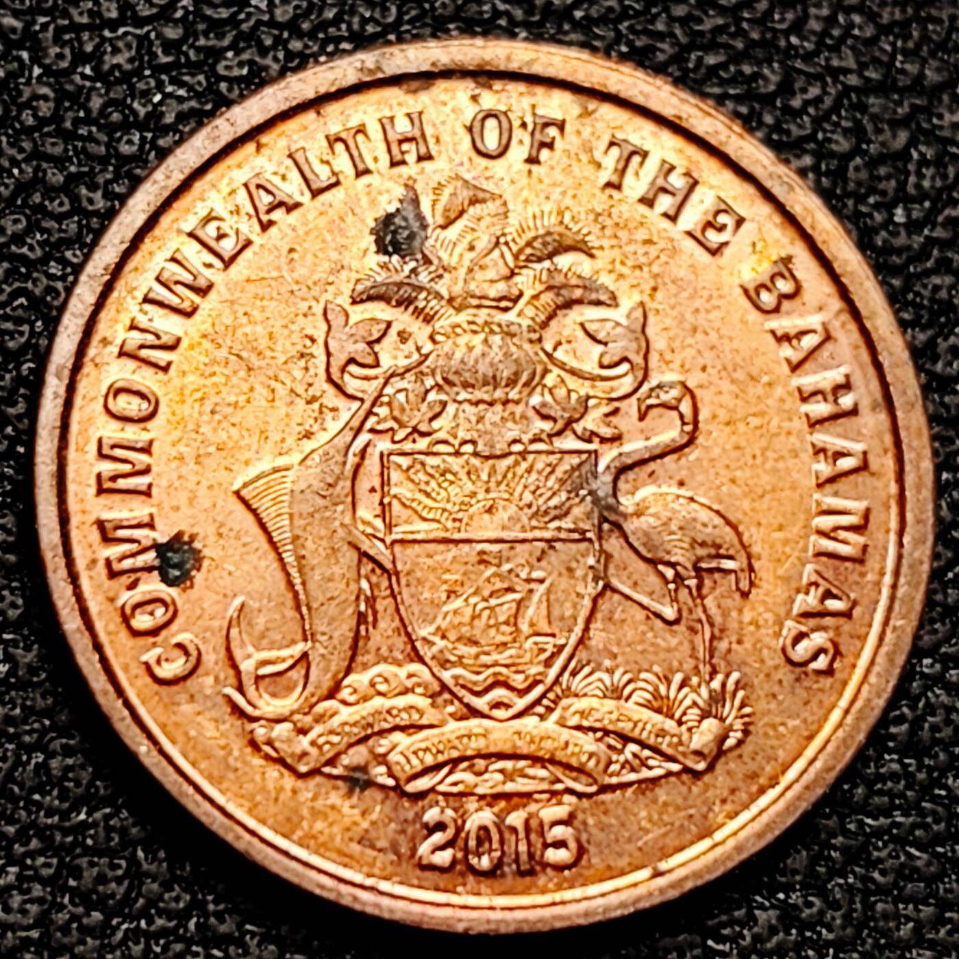 泉币菌-第179场- 精品福利场