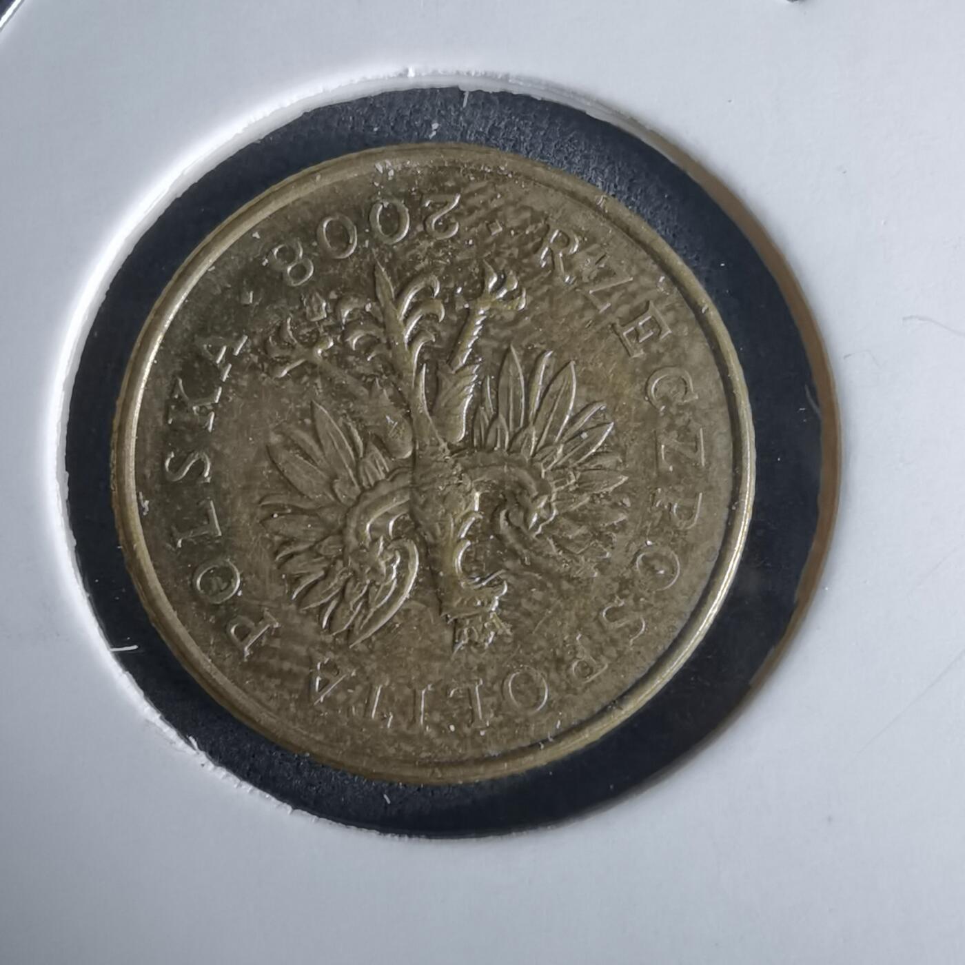 沼泽如烟--第980场 波兰2008年5格罗申