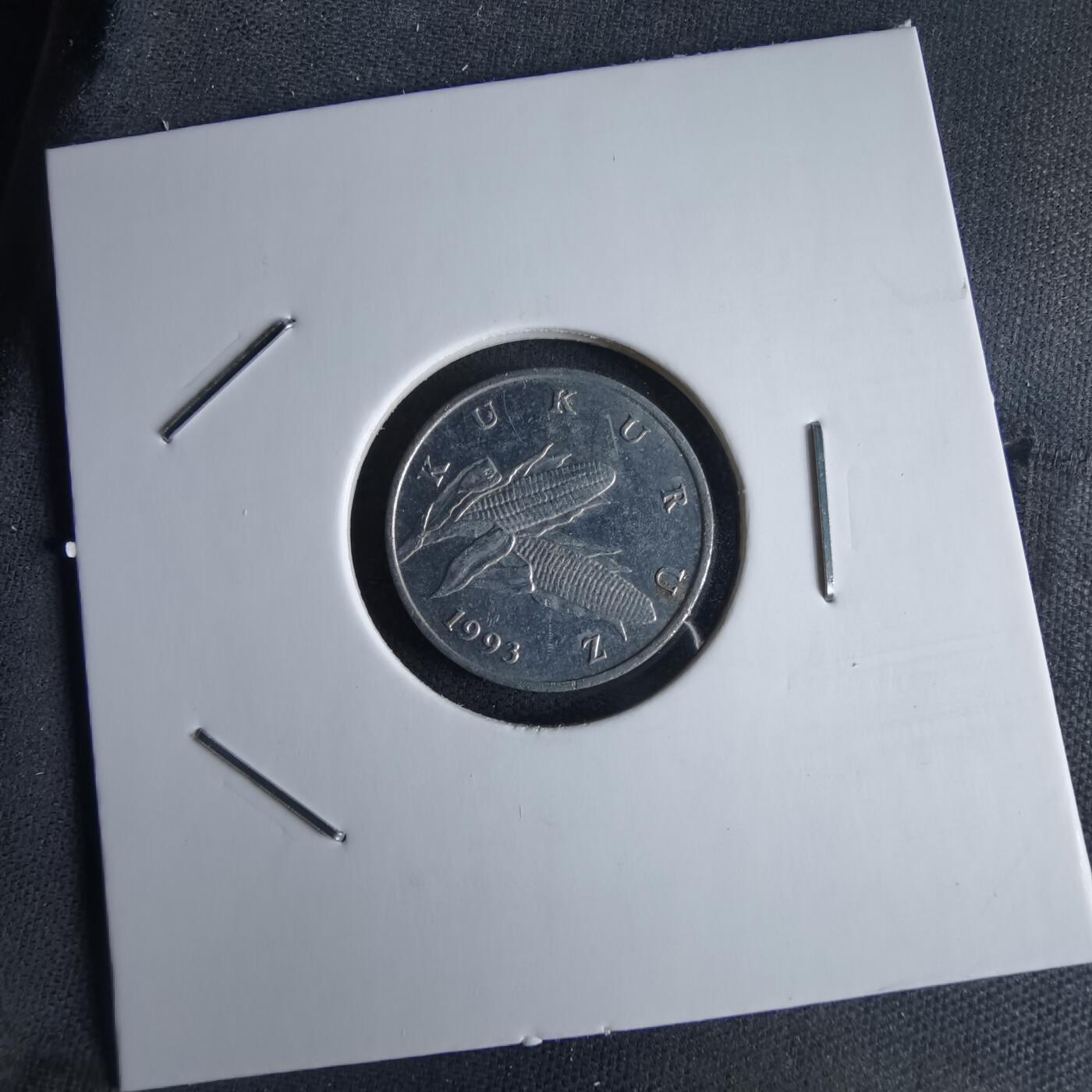 沼泽如烟--第980场