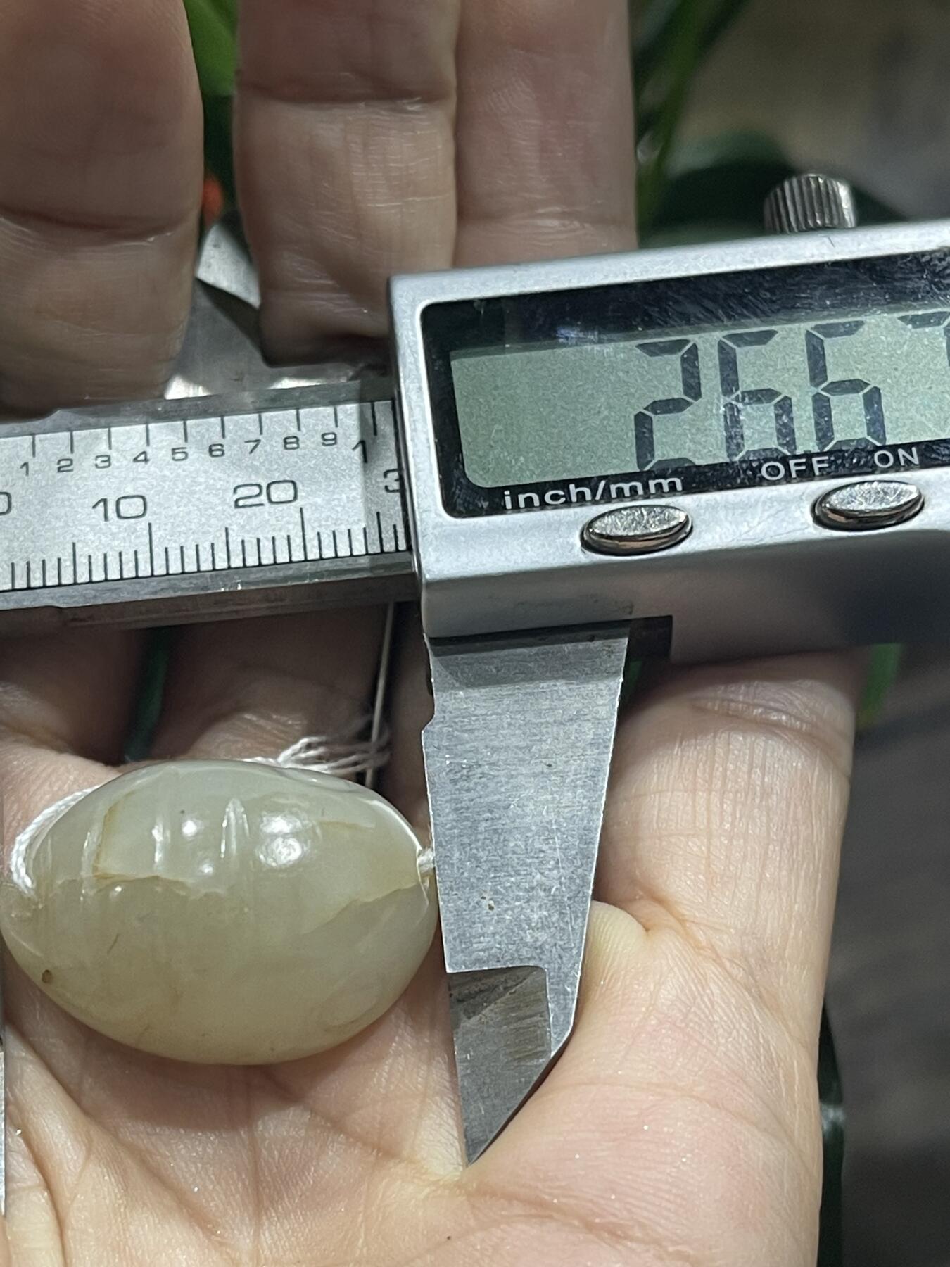 喵了个咪的第二期玉器杂项拍卖 和田玉蝉