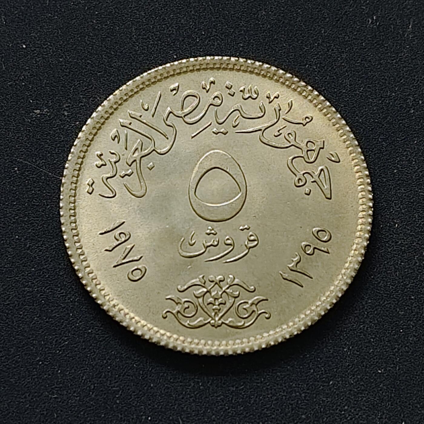 【全场包邮】纯粹捡漏拍498场-持续更新中