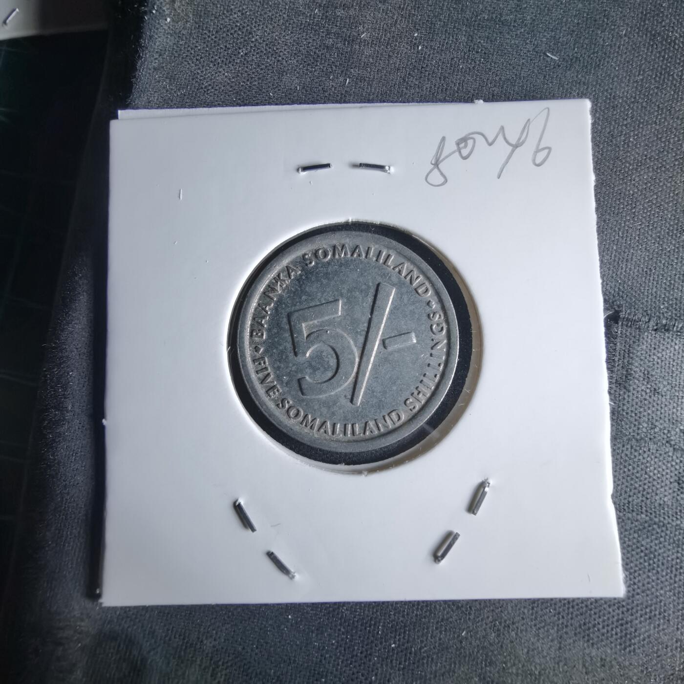 沼泽如烟--第980场