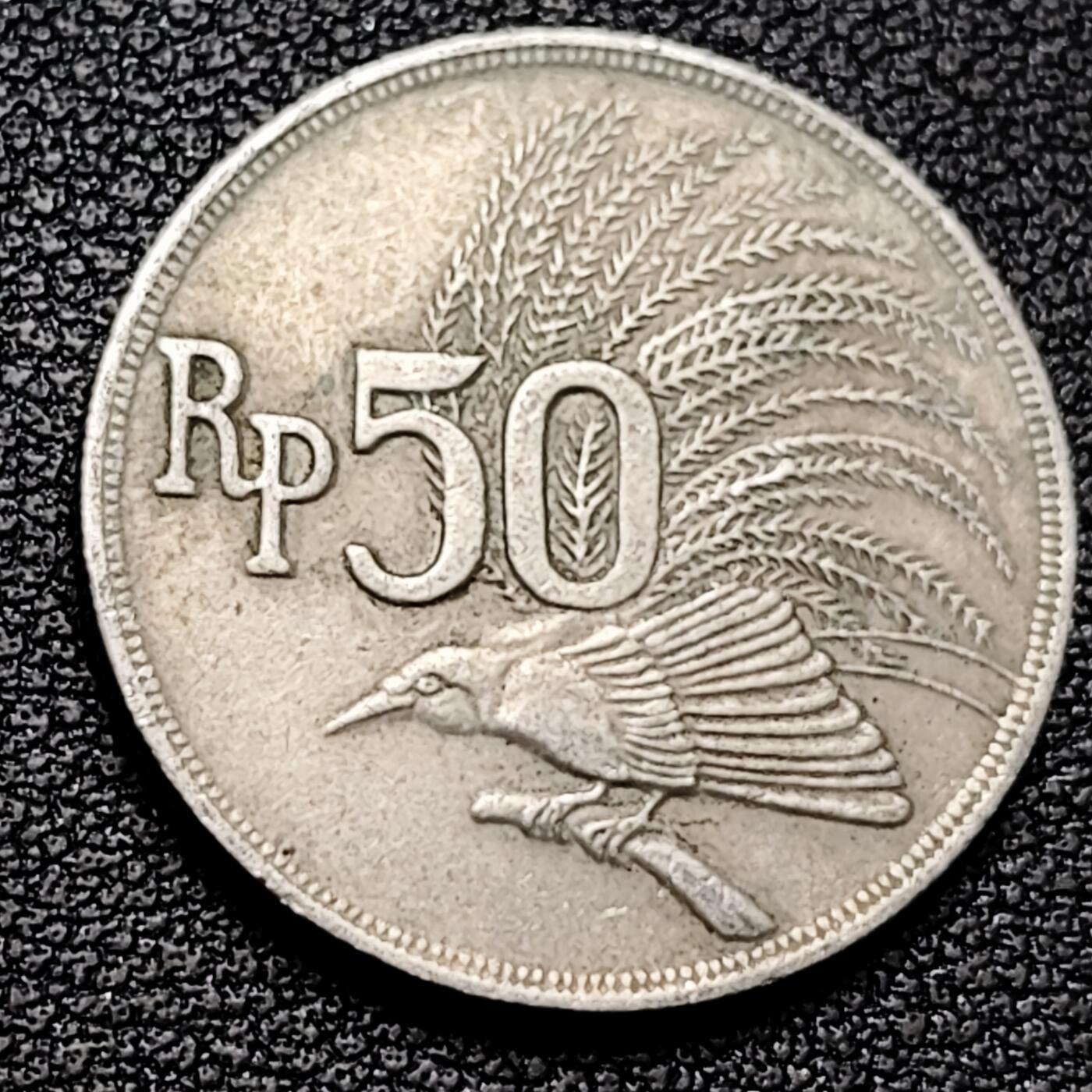 泉币菌-第179场- 精品福利场 。