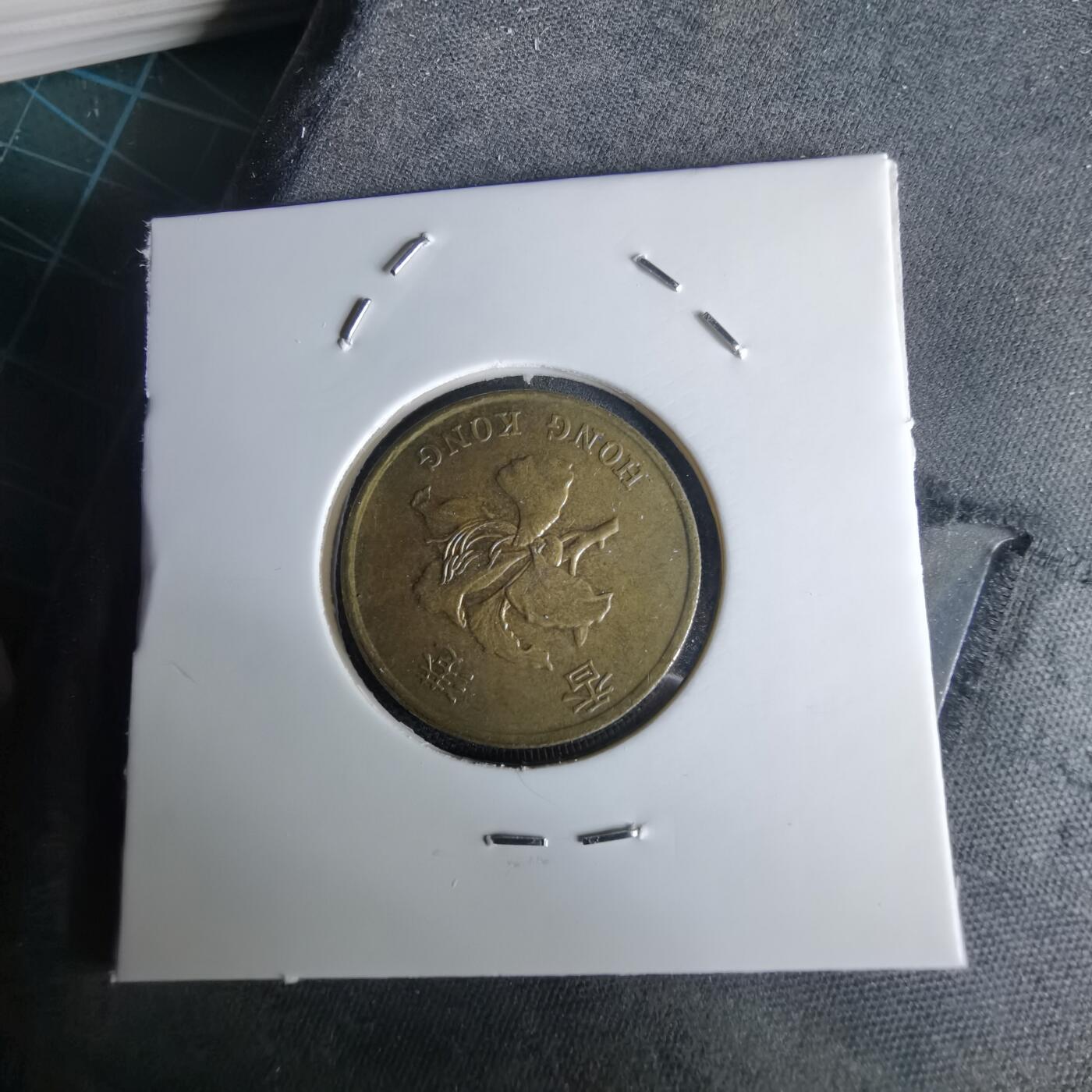 沼泽如烟--第980场