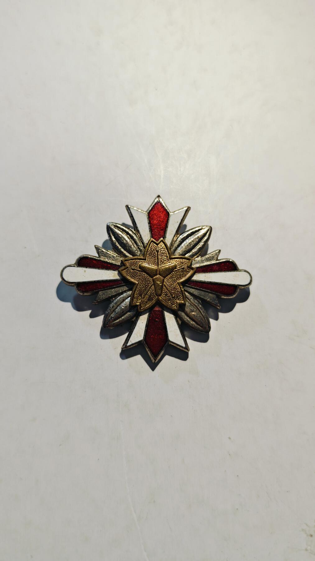 东亚勋章徽章主题拍卖7（80件）