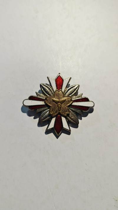 东亚勋章徽章主题拍卖7（80件） - 消防小徽章