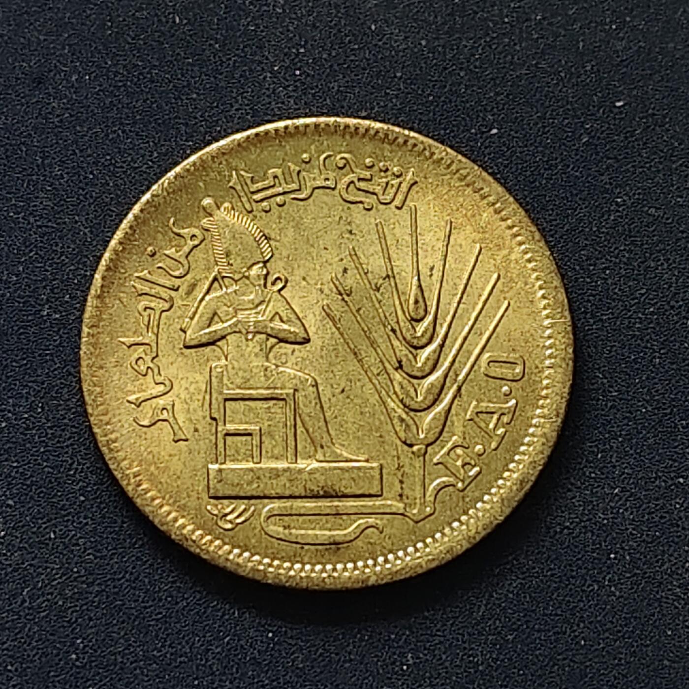 【全场包邮】纯粹捡漏拍498场-持续更新中 埃及1976年10米利姆FAO纪念币